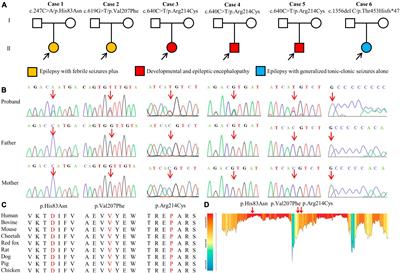 De novo GABRA1 variants in childhood epilepsies and the molecular subregional effects